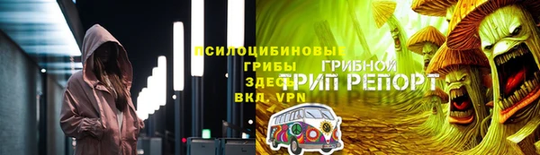 тгк Кукмор