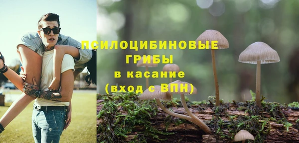 стафф Ладушкин