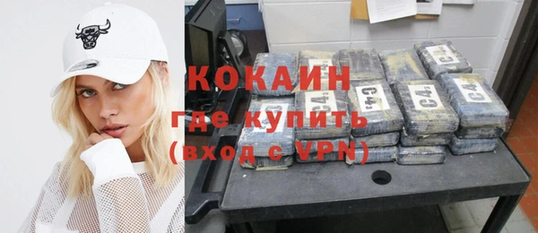стафф Ладушкин