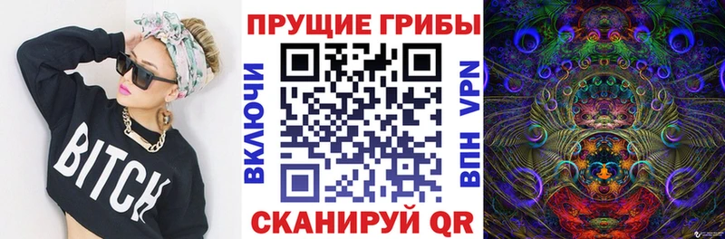 Галлюциногенные грибы мухоморы  мега ССЫЛКА  Михайловка 
